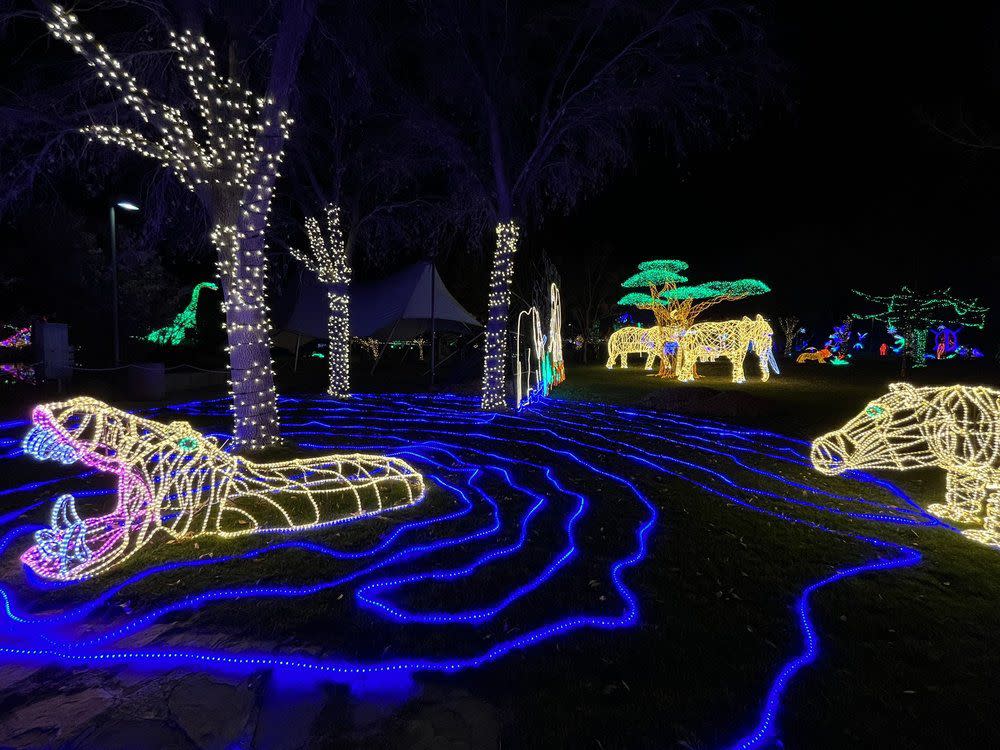 River of Lights, Albuquerque, New Mexico holiday light exhibit
