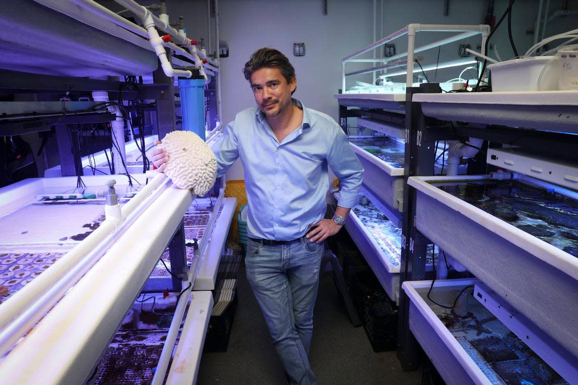 UM marine biology and ecology professor Andrew Baker poses with a coral skeleton in a wet lab at the UM Rosenstiel School of Marine, Atmospheric, and Earth Science complex at Virginia Key on Thursday, Dec. 15, 2022. Baker is working on a military-funded research project to develop ‘hybrid reefs,’ which are composed of natural, living corals growing on a man-made structure that’s engineered to slow down waves.