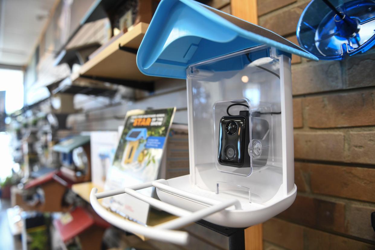 An AI bird feeder sits inside Wild Birds Unlimited on Tuesday, Oct. 31, 2023.