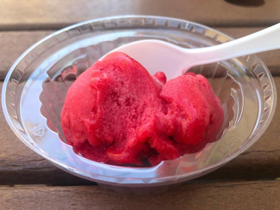 The raspberry sorbet at Creole Creamery in Bay St. Louis on Thursday, Aug. 17, 2023. Hannah Ruhoff/Sun Herald