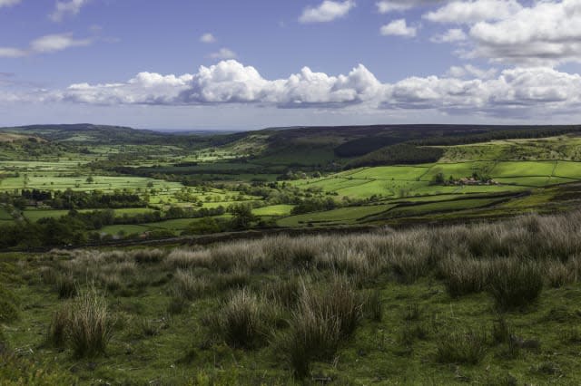 North York Moors in spring, Glaisdale, Yorkshire, UK.