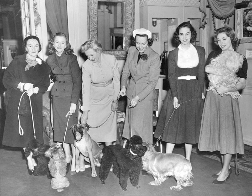 (Original Caption) Dogdom's elite come to lunch at the Colony with their fashionable mistresses. There in the plush precincts of the expensive restaurant, the pups vie to see which can put on the dog to best advantage. With their dogs, left to right, are Mrs. Wellington Cross, Martha Cuneo, Ilona Massey, Jarmila Novotna, Mrs. William Talbert and Countess Betsy von Furstenberg.