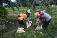 Women fill sacks with fertilizer to be spread in a palm oil plantation in Sumatra, Indonesia, Nov. 14, 2017. Many large suppliers have pledged to root out labor abuses after pressure from buyers who have denounced it. But some workers said they are told to hide or are coached on what to say during auditors' scheduled visits to plantations, where only the best conditions are often showcased to gain sustainability certification. (AP Photo/Binsar Bakkara)