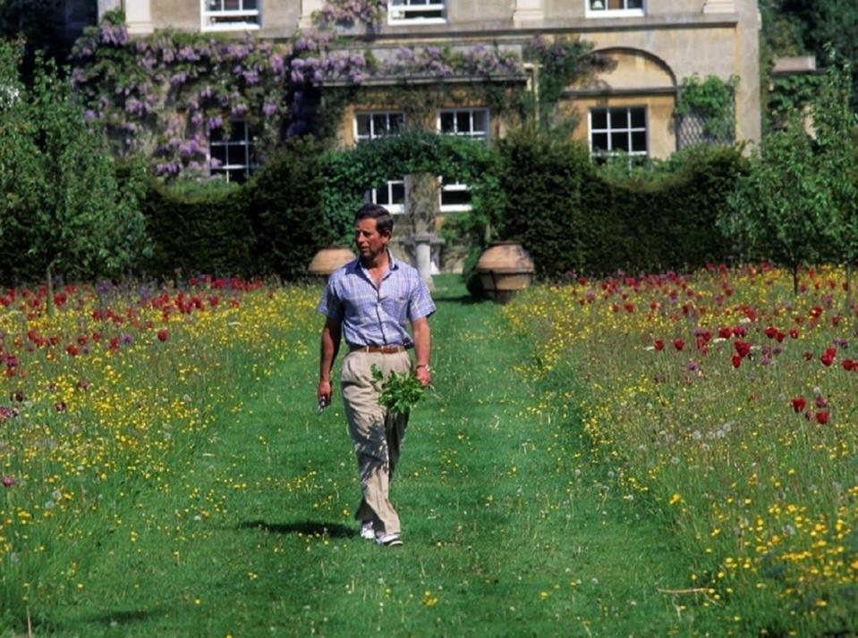 A young Prince of Wales among wildflowers in the Highgrove gardens (Highgrove Enterprises/PA) (PA Media)