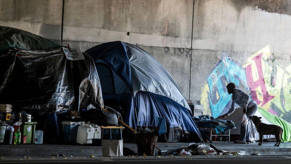 Tents, trash cans, graffiti, person leaning over next to a dog