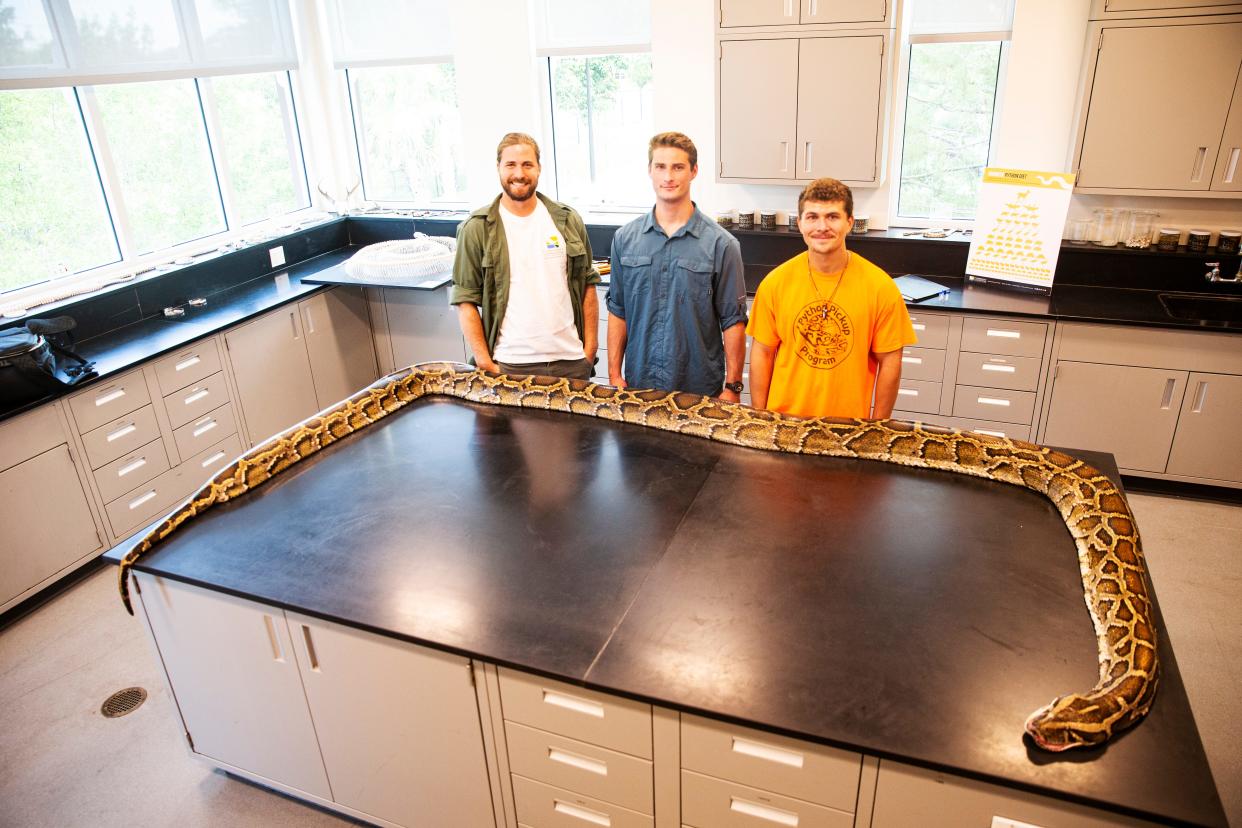 From left, Ian Easterling, from the Conservancy of Southwest Florida and amateur Burmese snake hunters, Jake Waleri and Stephen Gauta display a world record 19 foot Burmese python, Wednesday, July 12, 2023 caught by Waleri and friends in the Big Cypress National Preserve on July 10, 2023. Waleri and several friends caught the large snake. They brought it to the Conservancy of Southwest Florida to have it officially documented.  