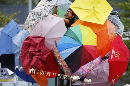 A pro-democracy protester fixes an installation made of umbrellas, symbols of the protest, in the part of Hong Kong's financial central district protesters are occupying October 31, 2014. REUTERS/Damir Sagolj