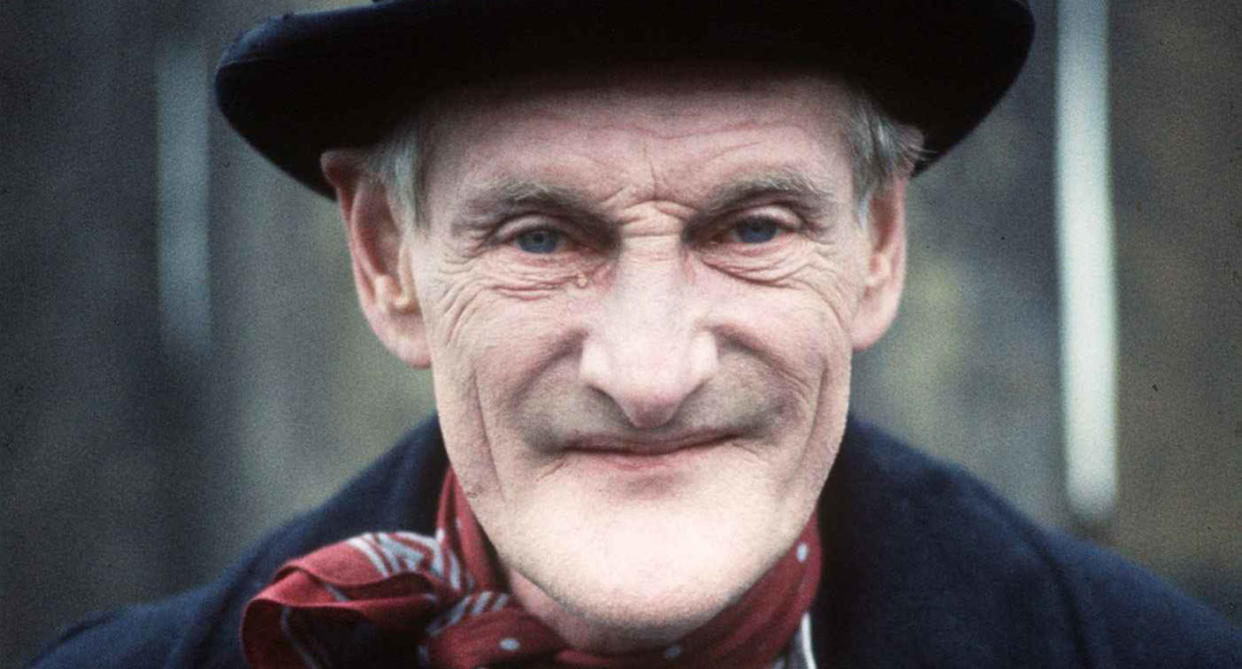 Wilfrid Brambell found fame with Steptoe and Son. (Alamy)