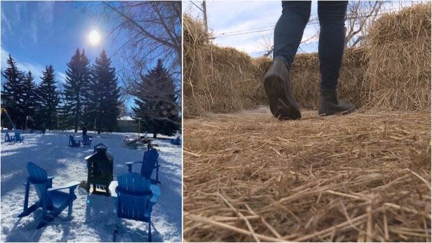 Parks Foundation Calgary's Embrace the Outdoors grant helped groups imagine a winter outside.  (submitted by Keith Hlewka/CBC - image credit)