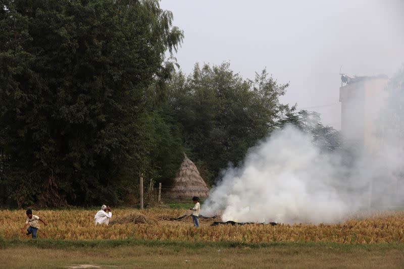 A farmer burns the stubble in a crop field in a village in Karnal district in the northern state of Haryana
