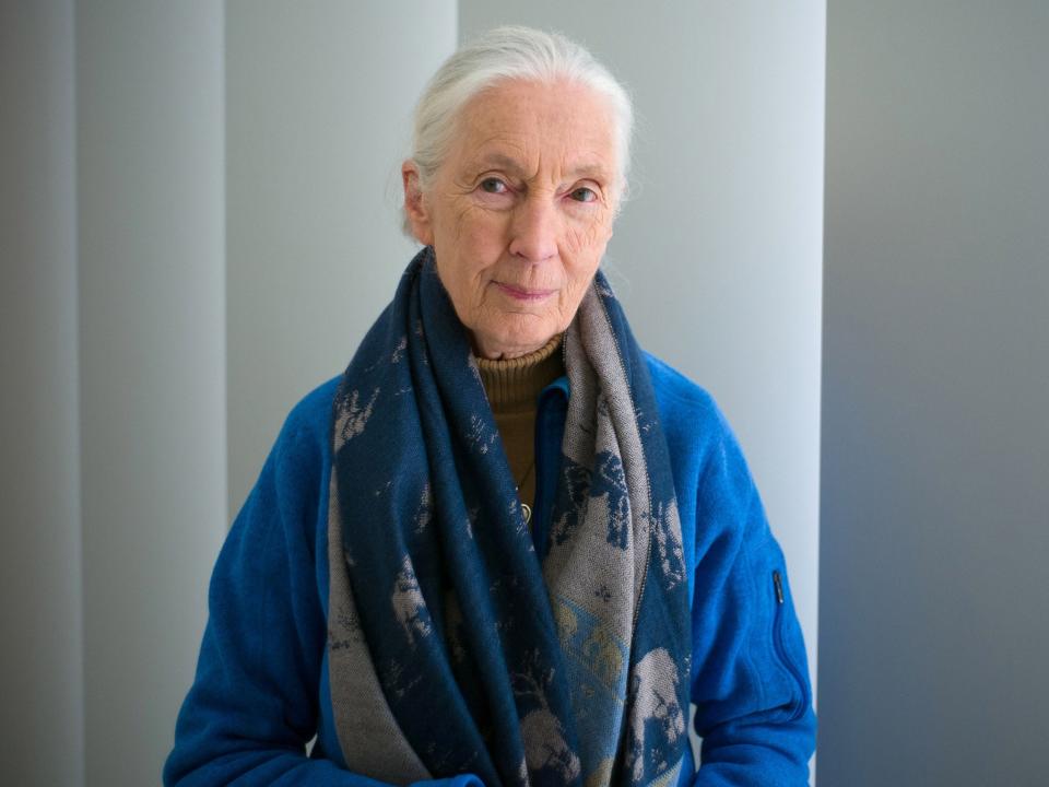 Jane Goodall: AFP/Getty