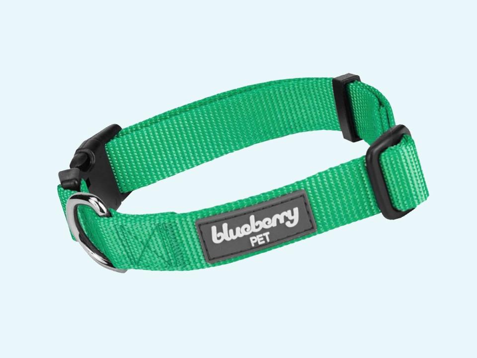 blueberry dog collar