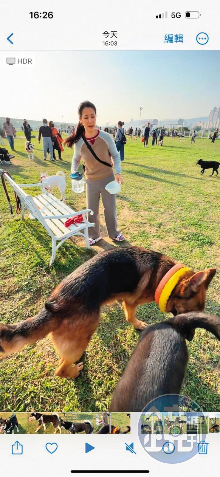 李蒨蓉趁狗狗喘口氣時趕忙餵水。（讀者提供）