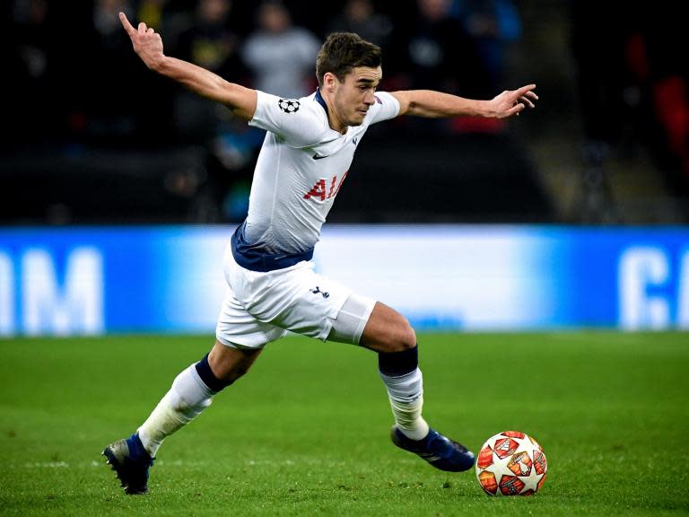 Harry Winks has handed Mauricio Pochettino a boost by returning to training this week.The England midfielder has been back in full training since Monday, just three weeks after a successful minor operation to repair his femoral sheath, the part of his groin that had been causing him pain in recent months. After a busy season, Winks had been struggling with the groin problem for months and had only been able to start one game in the last two months, the Champions League quarter-final first leg 1-0 home win against Manchester City at White Hart Lane.He eventually underwent the operation on 29 April with the hope that he would be able to play in the Champions League final if Spurs reached it. And he will now be able to train for almost two weeks, before Spurs fly out to Madrid next Wednesday. The prospect of Winks being fit for the final gives Pochettino the prospect of fielding his strongest midfield again against Liverpool, if he reunites Winks and Sissoko in the middle of the pitch.Harry Kane and Jan Vertonghen have also been involved with the group again this week as they step up their attempts to be ready for the final.