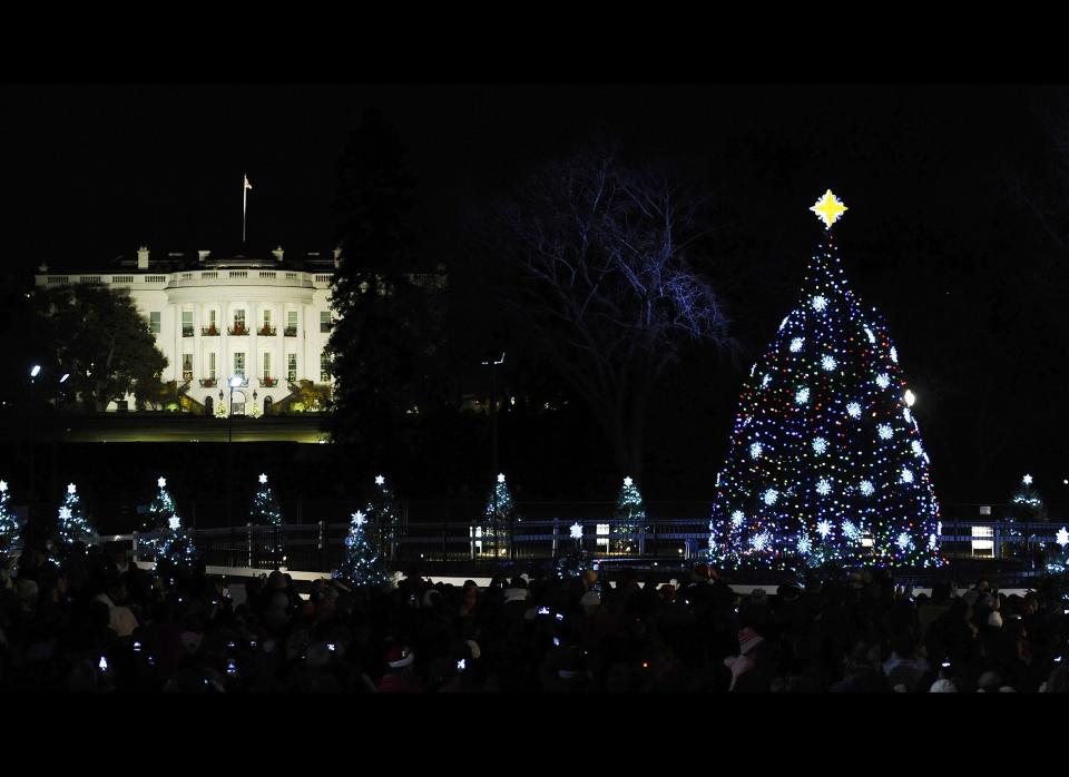 The 2011 National Christmas Tree is lit by U.S. President Barack Obama and the First Family during a ceremony on The Ellipse near the White House in Washington, D.C., on December 1, 2011. (SAMAD/AFP/Getty Images)  