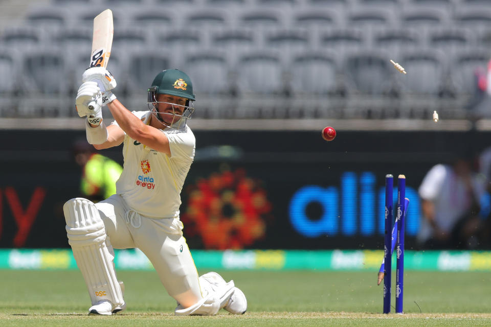 David Warner (pictured) is bowled out.