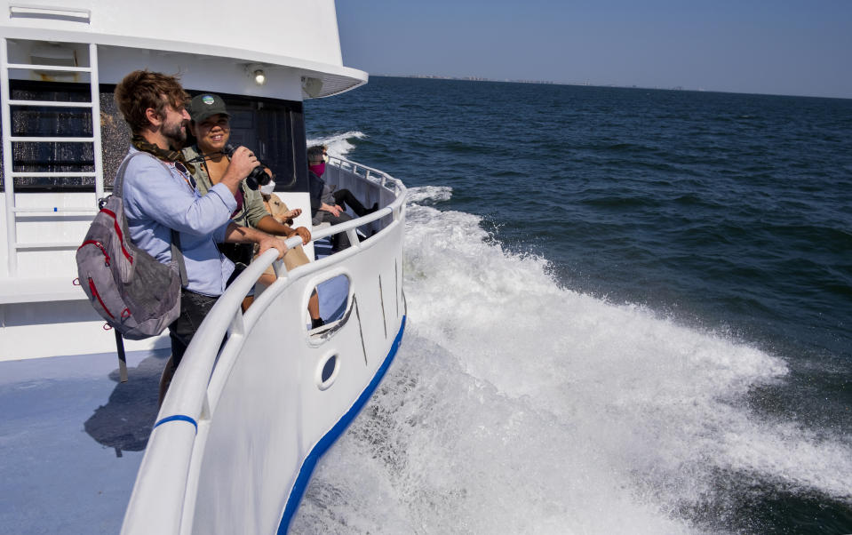 Participants aboard the American Princess cruise vessel await a first siting during a whale spotting cruise off the New York coast line Wednesday, Sept. 23, 2020. The New York whales aren't a standalone population, but rather members of feeding populations that mostly live farther north, such as in the Gulf of Maine, says Danielle Brown, the lead humpback whale researcher with Gotham Whale and a doctoral student at Rutgers University. And it's unclear whether the whales are in New York because the larger population is growing. (AP Photo/Craig Ruttle)