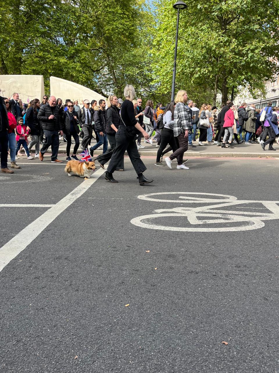 There was a patriotic corgi leaving Hyde Park.