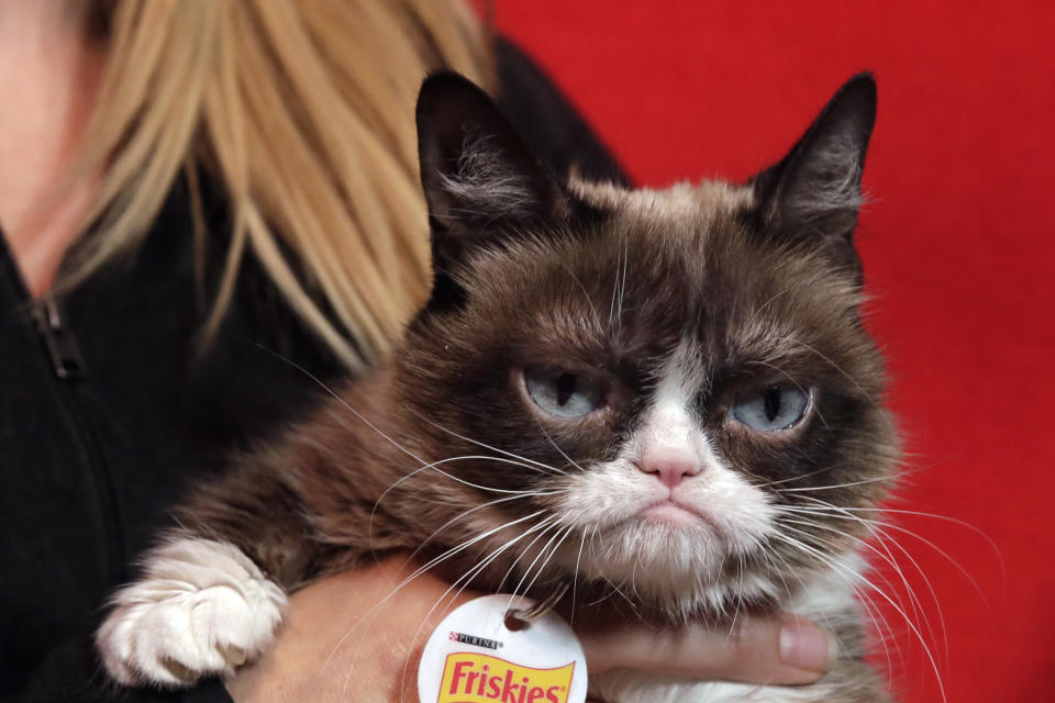 The Grumpy Cat has died. 