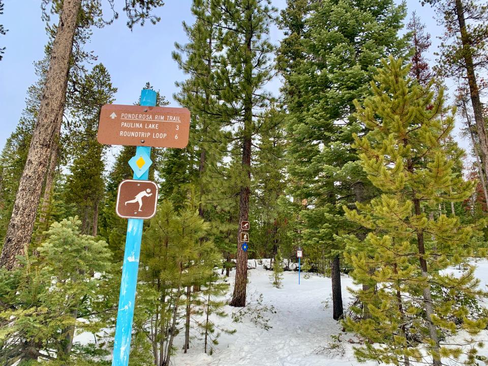 The Ponderosa Ridge Trail begins at 10 Mile Sno Park in Newberry Volcanic National Monument in Central Oregon north of La Pine.