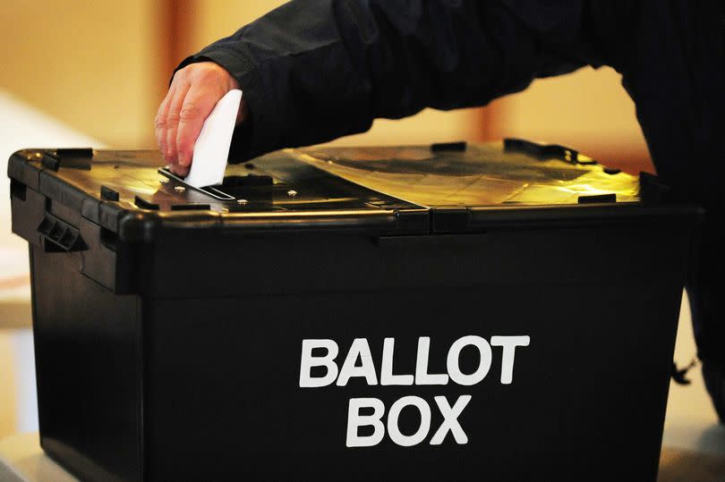 Voters will head to the polls for 2024's snap general election on July 4.