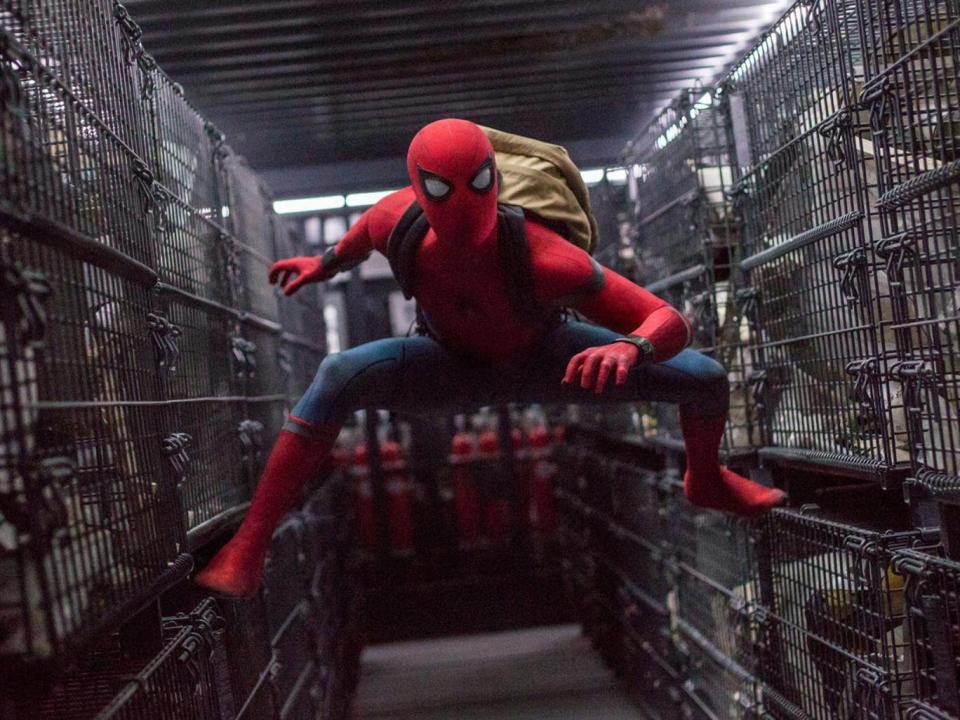 ‘Spider-Man: Homecoming’ (2017) grossed over $880m on a $175m budget (Rex)