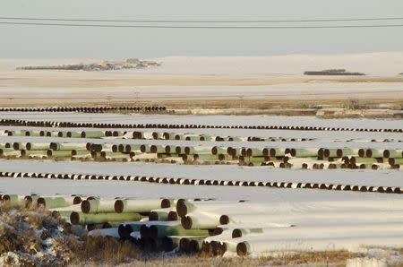 A depot used to store pipes for Transcanada Corp's planned Keystone XL oil pipeline is seen in Gascoyne, North Dakota November 14, 2014. REUTERS/Andrew Cullen
