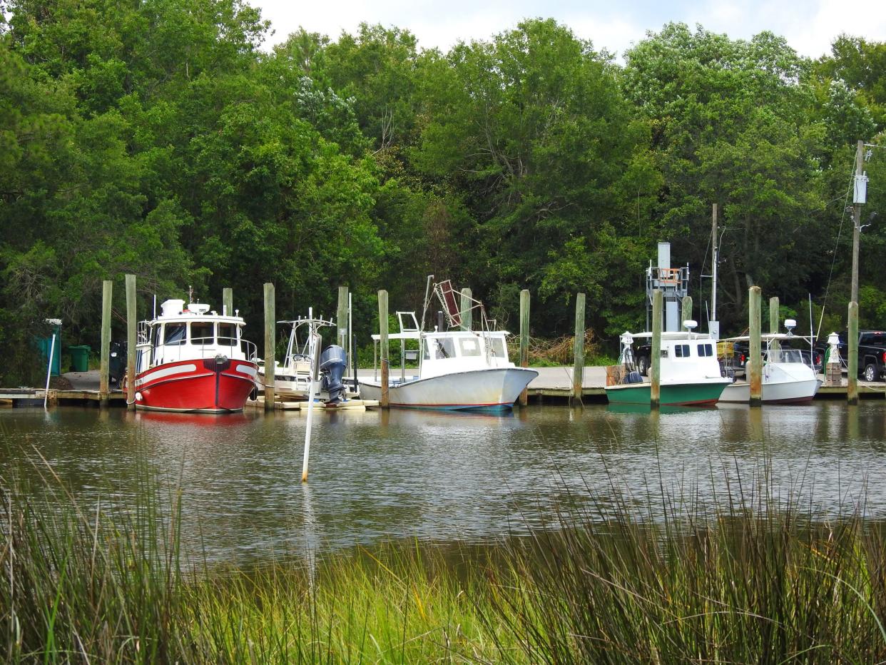 Fishing Dock Boast along a Marsh Water Edge in Ocean Springs, Mississippi