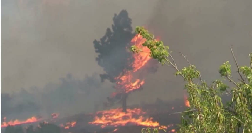 西班牙拉帕爾馬島發生森林大火，已疏散超過4千人。（圖／翻攝自推特@Reuters）