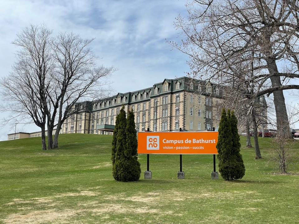 The Collège communautaire du Nouveau-Brunswick in Bathurst currently has about 400 international students and has plans to expand its campus. While it will be building a residence, the majority of students will still need to be housed off campus.