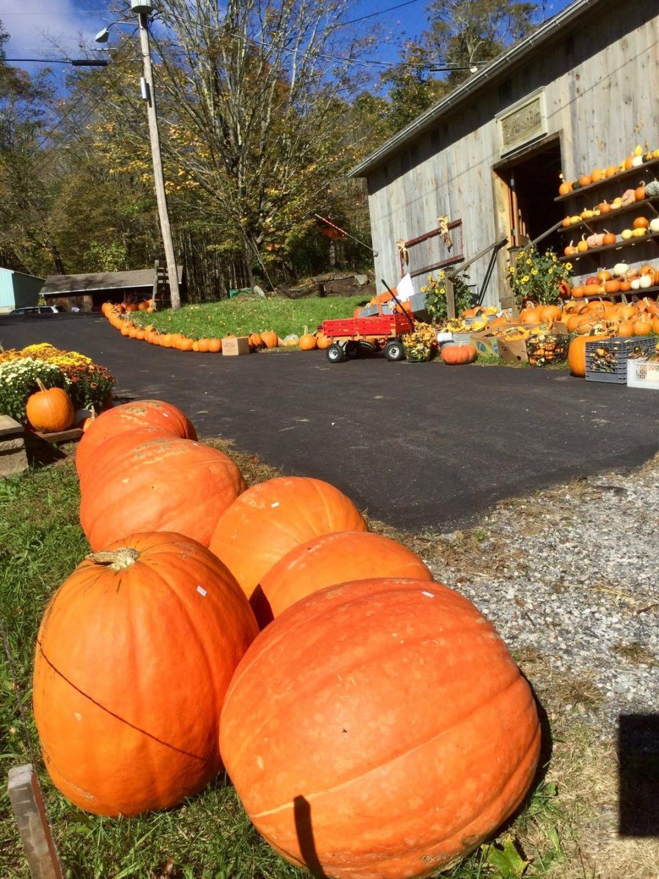 5) Angevine Farm in Warren, CT