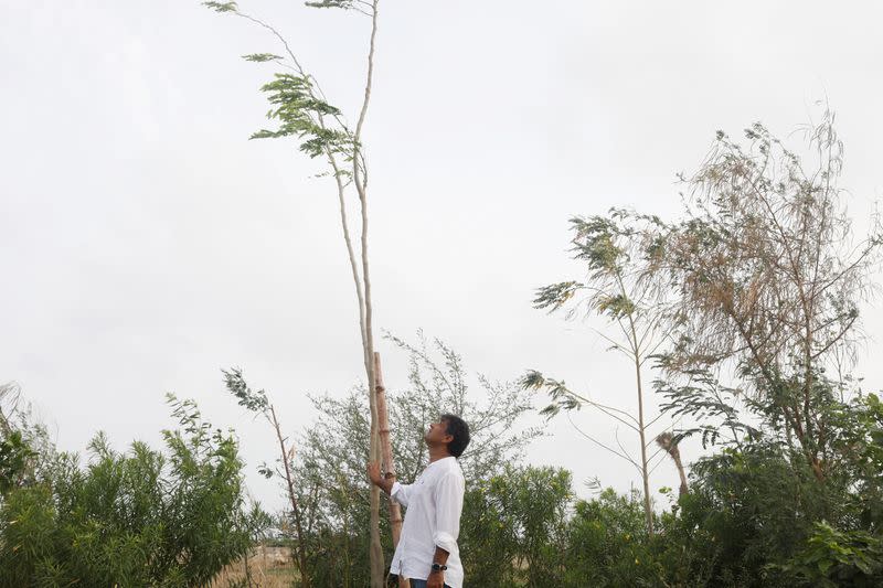 The Wider Image: Pakistanis plant trees to provide relief from scorching sun