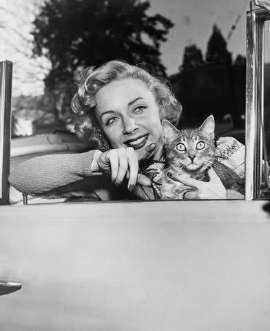 <p>Murray Garrett/Graphic House/Archive Photos/Getty Images</p> Barbra Fuller poses with a cat in a car