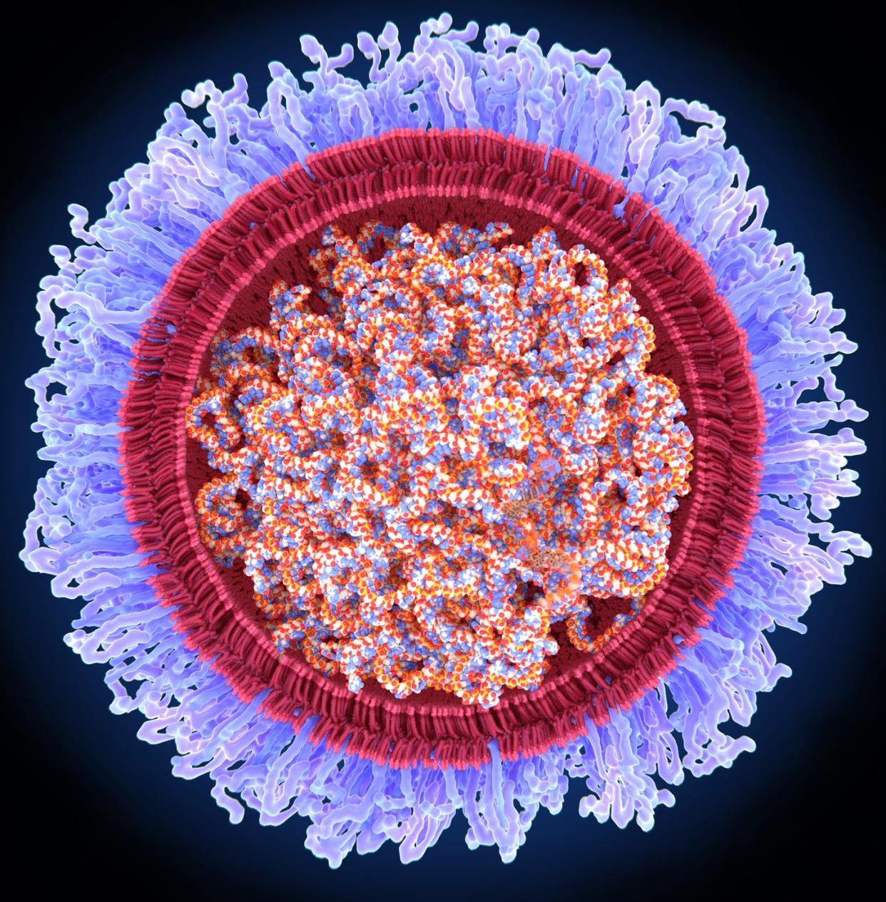 <span class="caption">Gene-based vaccines had never been approved for humans before the coronavirus pandemic.</span> <span class="attribution"><a class="link " href="https://www.gettyimages.com/detail/illustration/covid-19-rna-vaccine-illustration-royalty-free-illustration/1296294288?adppopup=true" rel="nofollow noopener" target="_blank" data-ylk="slk:Juan Gaertner/Science Photo Library via Getty Images;elm:context_link;itc:0;sec:content-canvas">Juan Gaertner/Science Photo Library via Getty Images</a></span>