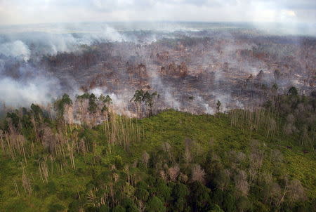 An aerial view of a forest fire burning near the village of Bokor, Meranti Islands regency, Riau province, Indonesia in this March 15, 2016 file photo taken by Antara Foto. REUTERS/ Rony Muharrman/Antara Foto/Files