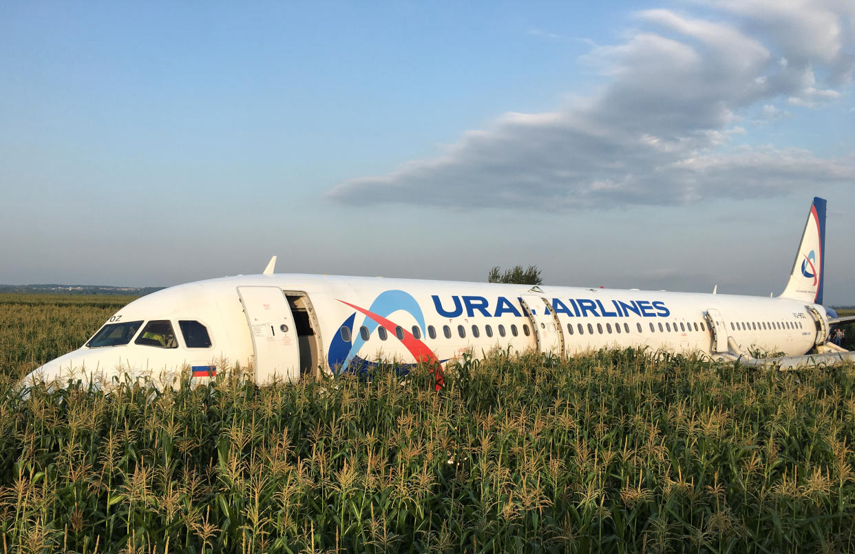 The Ural Airlines Airbus 321 passenger plane came to rest in a field near the airport after a dramatic emergency landing. (Reuters)