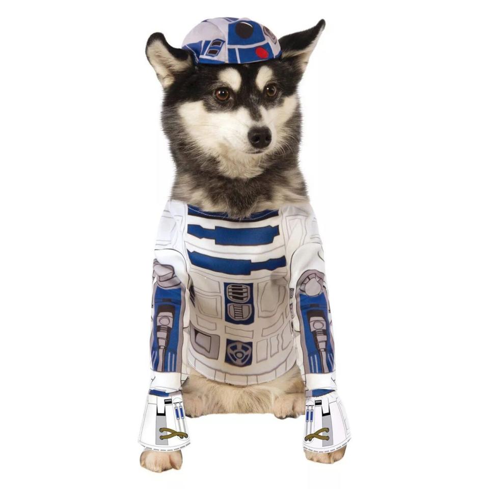 Dog wearing a Star Wars R2-D2 Dog Costume on a white background