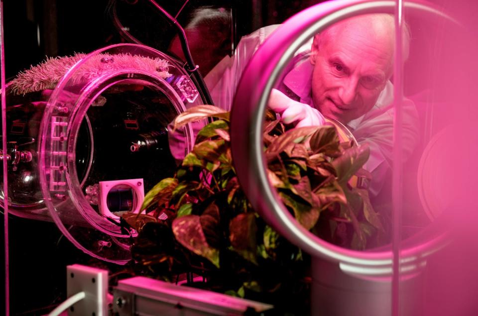 <span class="caption">Klaus Lackner tests direct air capture technologies in his lab.</span> <span class="attribution"><a class="link " href="https://newsroom.asu.edu/expert/klaus-lackner" rel="nofollow noopener" target="_blank" data-ylk="slk:Arizona State University;elm:context_link;itc:0;sec:content-canvas">Arizona State University</a></span>