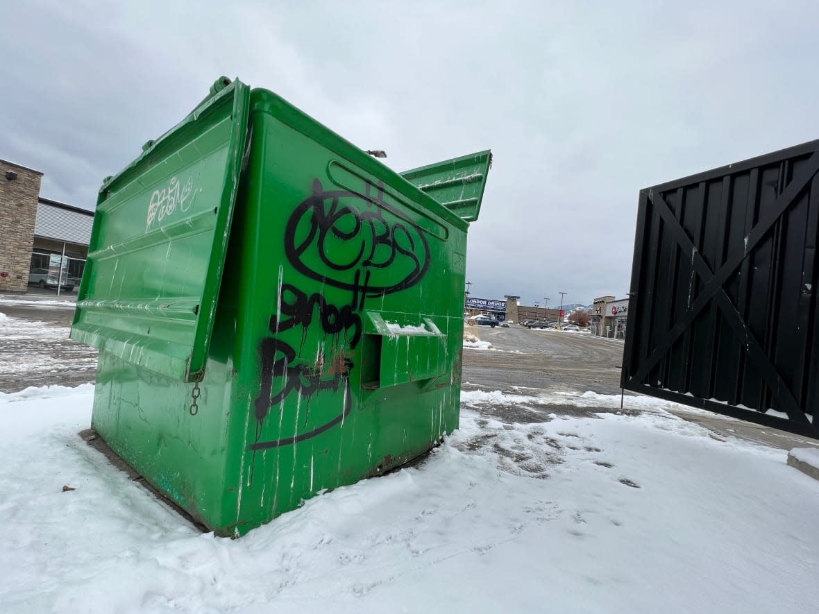 The man is believed to have used a dumpster to shelter from the wind chill, but found himself dropped into a garbage truck. RCMP say it's not uncommon for people to seek shelter in dumpsters as temperatures drop. (Tom Popyk/CBC - image credit)