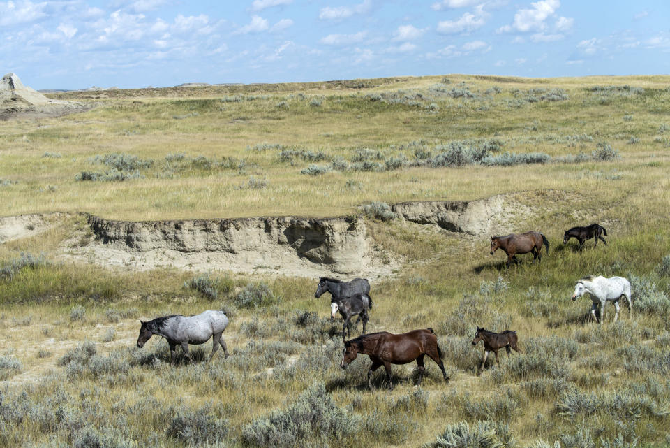 North Dakota: Theodore Roosevelt National Park