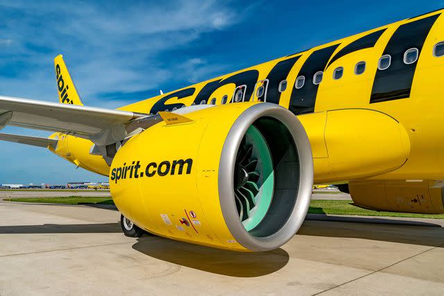 <p>Courtesy of Spirit Airlines</p>