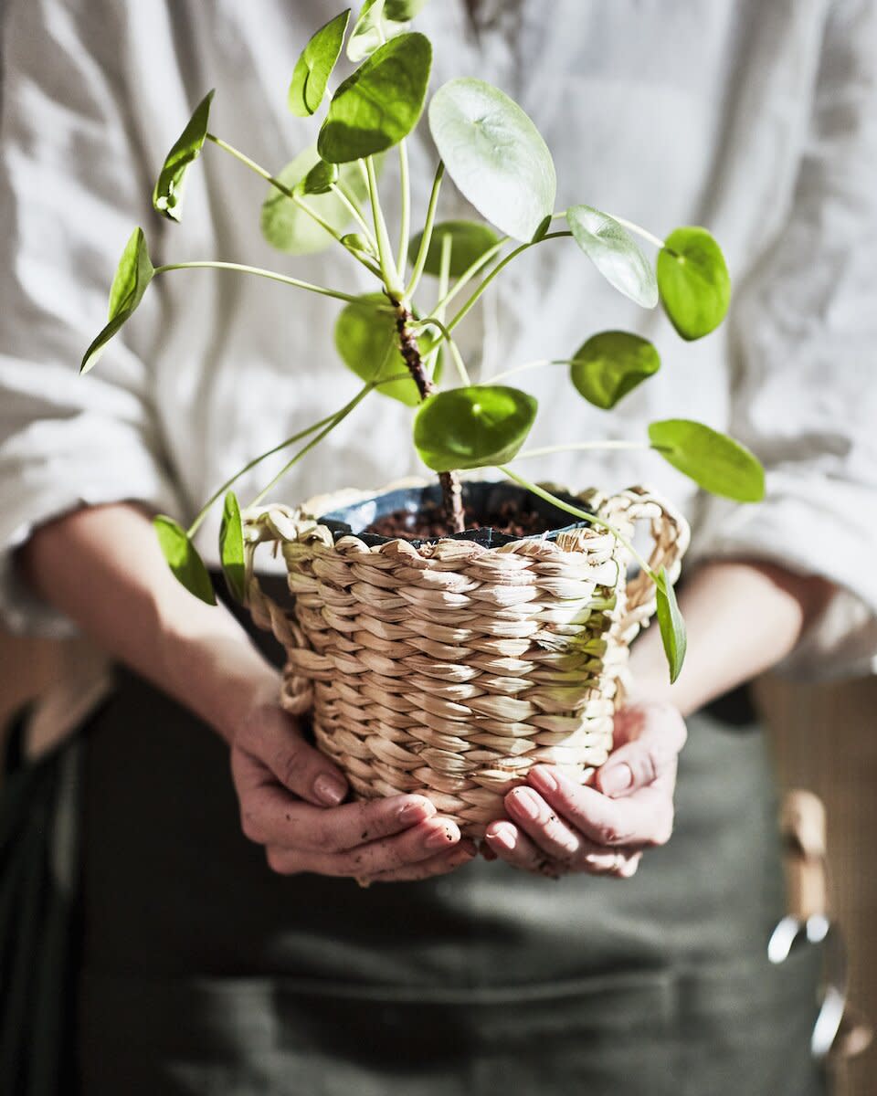 Woven Plant Pot