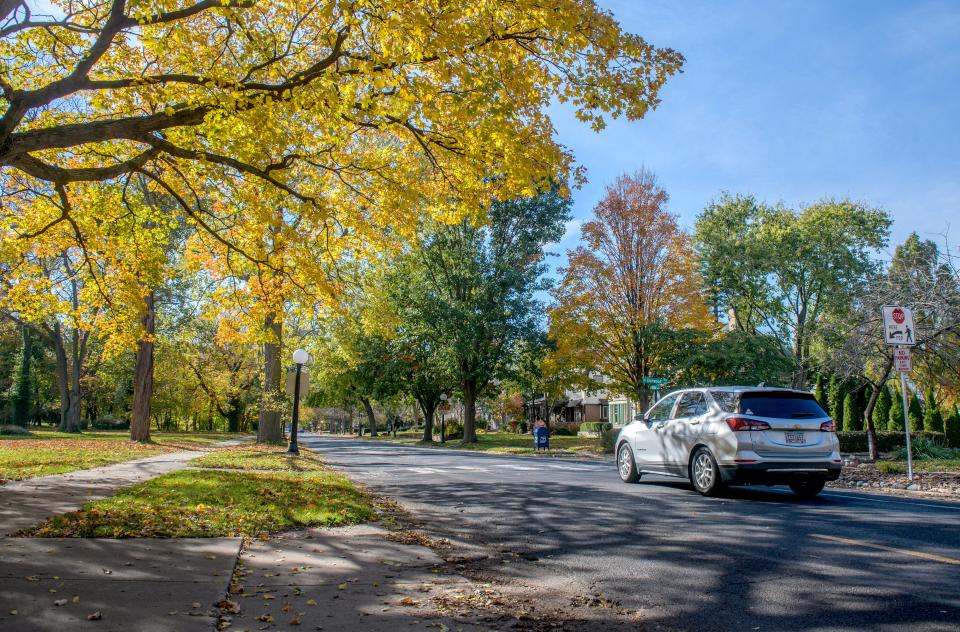 Sunlight streams through the fall foliage of historic Moss Avenue in Peoria. The historic thoroughfare will be totally reconstructed in 2024-2025 complete with new gutters and curbs.