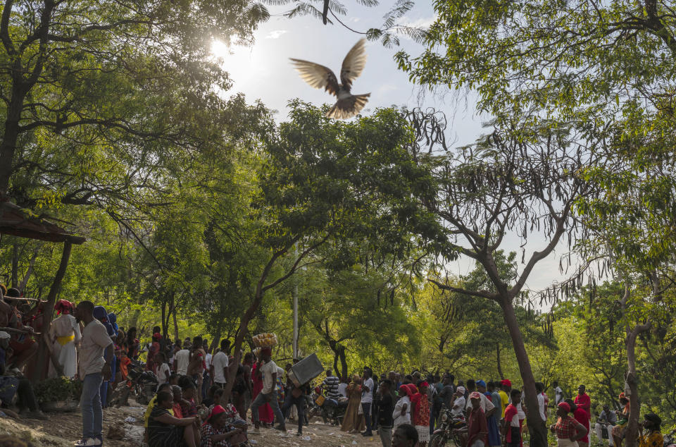 FILE - A dove takes flight as people attend the St. George vodou celebration in Port-au-Prince, Haiti, April 24, 2024. Hundreds of Haitians flocked to the hill for the annual celebration of St. George, a Christian martyr who was believed to be a Roman soldier and is revered by both Catholics and Vodouists. (AP Photo/Ramon Espinosa, File)