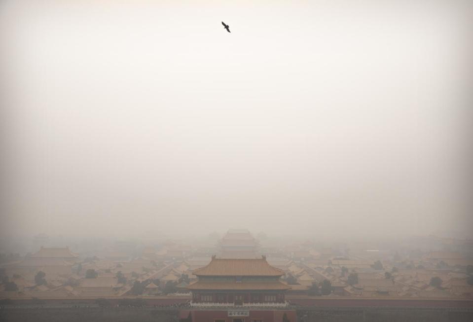 A bird flies over the Forbidden City on a day with high levels of air pollution in Beijing.