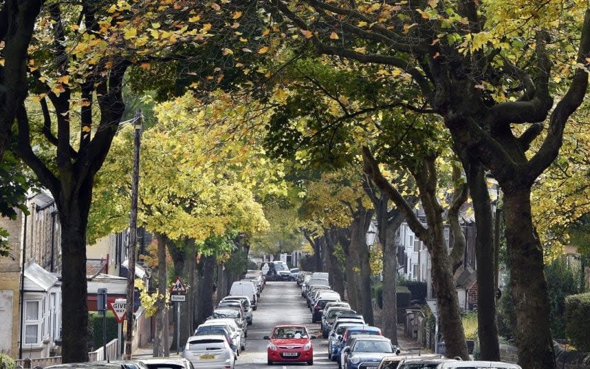 Tree-lined streets protect against high pollution by absorbing toxic fumes  - Ben Lack