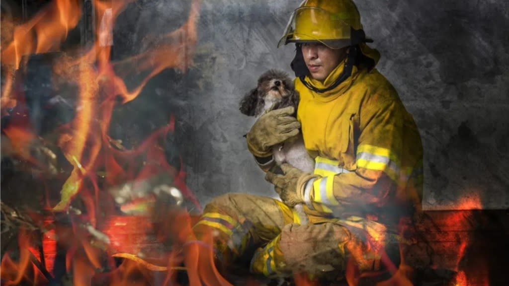 Firefighter saving a dog from a burning house, a rescued puppy had been adopted by an Oregon firefighter