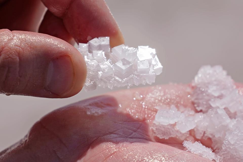 Jeremiah Bernau, a Utah State biologist, holds salt crystals at the Bonneville Salt Flats on Monday, Aug. 29, 2022, near Wendover, Utah. The glistening white salt of the world-famous area is shrinking near the Utah-Nevada line. (AP Photo/Rick Bowmer)