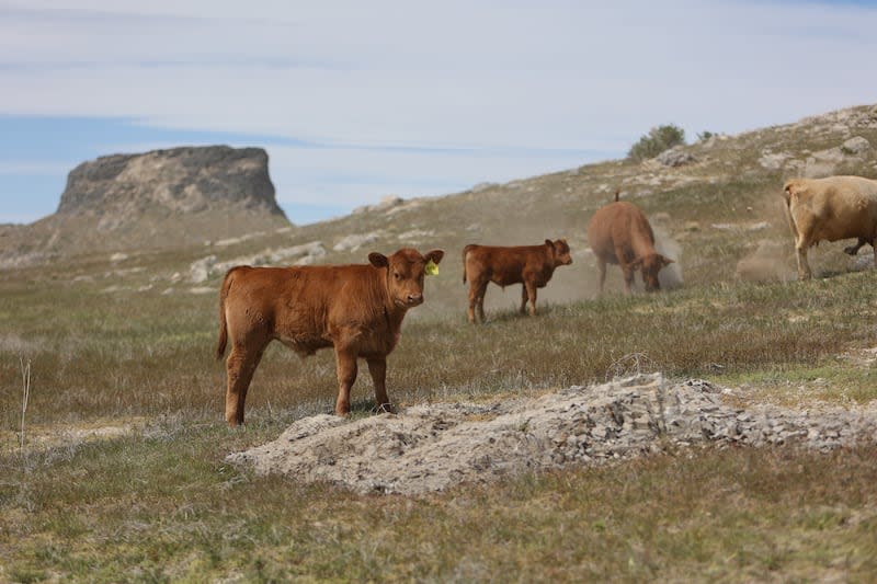 BLM landscapes_KM_250.JPG