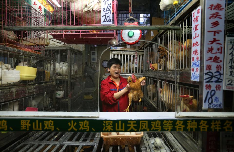 wet market china chicken